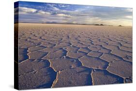 Salar De Uyuni Polygonal Salt Pattern on Dried-null-Stretched Canvas