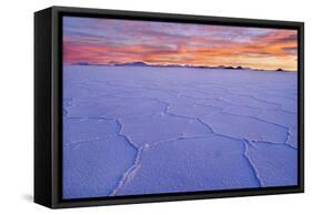 Salar De Uyuni Polygonal Salt Pattern on Dried-null-Framed Stretched Canvas