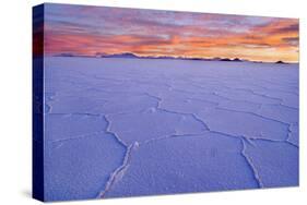 Salar De Uyuni Polygonal Salt Pattern on Dried-null-Stretched Canvas