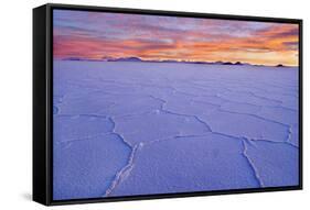 Salar De Uyuni Polygonal Salt Pattern on Dried-null-Framed Stretched Canvas