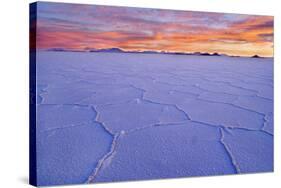 Salar De Uyuni Polygonal Salt Pattern on Dried-null-Stretched Canvas