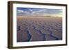 Salar De Uyuni Polygonal Salt Pattern on Dried-null-Framed Photographic Print