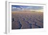 Salar De Uyuni Polygonal Salt Pattern on Dried-null-Framed Photographic Print