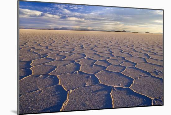 Salar De Uyuni Polygonal Salt Pattern on Dried-null-Mounted Photographic Print