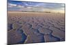 Salar De Uyuni Polygonal Salt Pattern on Dried-null-Mounted Photographic Print