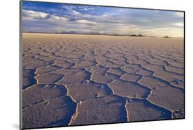 Salar De Uyuni Polygonal Salt Pattern on Dried-null-Mounted Photographic Print