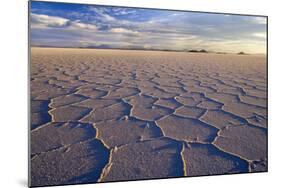 Salar De Uyuni Polygonal Salt Pattern on Dried-null-Mounted Photographic Print