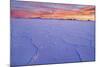 Salar De Uyuni Polygonal Salt Pattern on Dried-null-Mounted Photographic Print