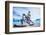 Salar De Uyuni (Salt Flat), Bolivia-Curioso Travel Photography-Framed Photographic Print