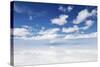 Salar De Uyuni, Salt Flat in Bolivia - Biggest Salt Lak? in the World-zanskar-Stretched Canvas