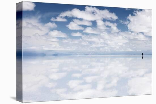 Salar De Uyuni, Salt Flat in Bolivia - Biggest Salt Lak? in the World-zanskar-Stretched Canvas