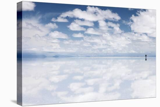 Salar De Uyuni, Salt Flat in Bolivia - Biggest Salt Lak? in the World-zanskar-Stretched Canvas