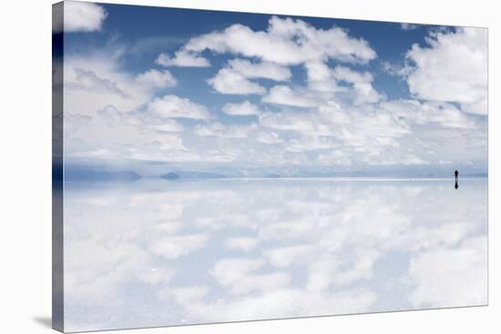 Salar De Uyuni, Salt Flat in Bolivia - Biggest Salt Lak? in the World-zanskar-Stretched Canvas