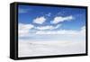 Salar De Uyuni, Salt Flat in Bolivia-zanskar-Framed Stretched Canvas