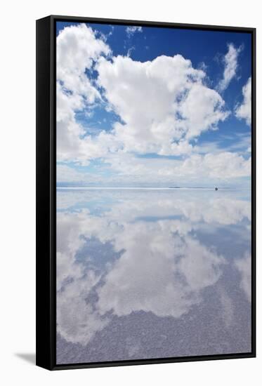 Salar De Uyuni, Salt Flat in Bolivia-zanskar-Framed Stretched Canvas