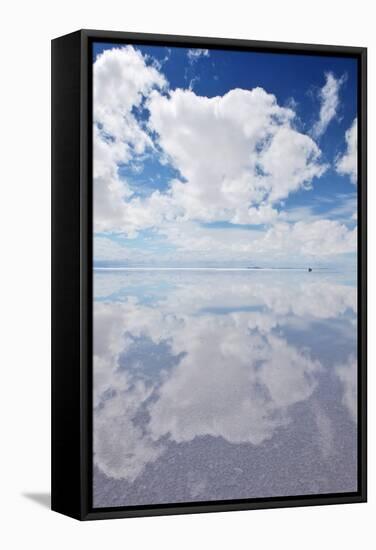 Salar De Uyuni, Salt Flat in Bolivia-zanskar-Framed Stretched Canvas