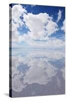 Salar De Uyuni, Salt Flat in Bolivia-zanskar-Stretched Canvas