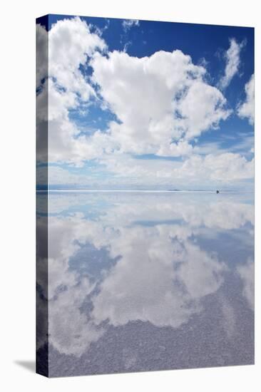 Salar De Uyuni, Salt Flat in Bolivia-zanskar-Stretched Canvas