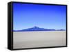 Salar de Uyuni Salt Flats and the Andes Mountains in the Distance, Bolivia, South America-Simon Montgomery-Framed Stretched Canvas