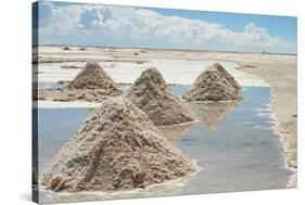 Salar De Uyuni Salt Flats in Bolivia.-De Visu-Stretched Canvas