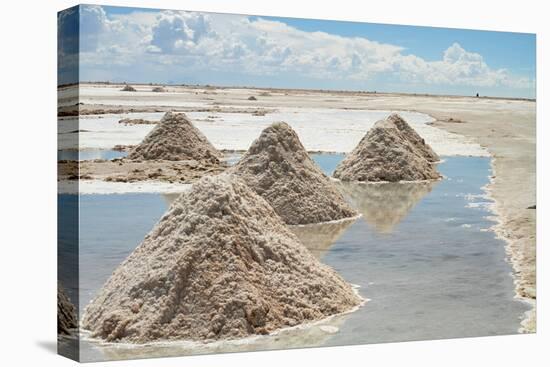 Salar De Uyuni Salt Flats in Bolivia.-De Visu-Stretched Canvas