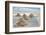 Salar De Uyuni Salt Flats in Bolivia.-De Visu-Framed Photographic Print