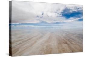 Salar De Uyuni, Salt Lake in Bolivia-javarman-Stretched Canvas