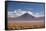 Salar De Uyuni - Uyuni Salt Lake in Bolivia.-AarStudio-Framed Stretched Canvas