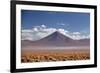 Salar De Uyuni - Uyuni Salt Lake in Bolivia.-AarStudio-Framed Photographic Print