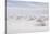 Salar De Uyuni-AarStudio-Stretched Canvas