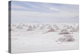 Salar De Uyuni-AarStudio-Stretched Canvas