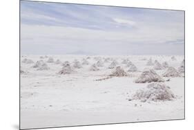 Salar De Uyuni-AarStudio-Mounted Photographic Print