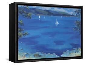 Salcombe - Blue Morning, 2000-Jennifer Wright-Framed Stretched Canvas