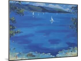 Salcombe - Blue Morning, 2000-Jennifer Wright-Mounted Giclee Print