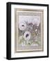 Salcombe Poppies-Lillian Delevoryas-Framed Giclee Print