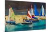 Salcombe Smalls Cove Dinghies-Jennifer Wright-Mounted Giclee Print