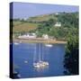 Salcombe, South Devon, England-Roy Rainford-Stretched Canvas