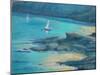 Salcombe Starehole Bay-Jennifer Wright-Mounted Giclee Print