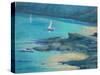 Salcombe Starehole Bay-Jennifer Wright-Stretched Canvas