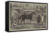 Sale at Old Tattersall's-Henry Alken-Framed Stretched Canvas