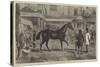 Sale at Old Tattersall's-Henry Alken-Stretched Canvas