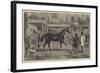 Sale at Old Tattersall's-Henry Alken-Framed Giclee Print