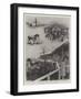 Sale of Shire Horses at the Prince of Wales's Stud-Farm, Wolferton-Joseph Holland Tringham-Framed Giclee Print