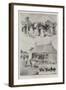 Sale of the Sandringham Herd and Flock, 3 July-null-Framed Giclee Print