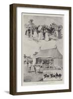 Sale of the Sandringham Herd and Flock, 3 July-null-Framed Giclee Print