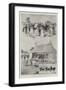 Sale of the Sandringham Herd and Flock, 3 July-null-Framed Giclee Print