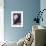 Salem, Massachusetts - Raven and Moon Purple Sky-Lantern Press-Framed Art Print displayed on a wall