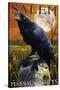 Salem, Massachusetts - Raven and Skull-Lantern Press-Stretched Canvas