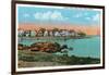 Salem, Massachusetts - Salem Willows View of Juniper Point and Salem Neck-Lantern Press-Framed Art Print