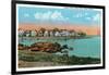 Salem, Massachusetts - Salem Willows View of Juniper Point and Salem Neck-Lantern Press-Framed Art Print